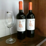 Vinho Tinto Argentino Chac Chac Cabernet Franc 750 ml